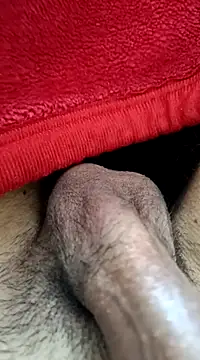 Jaipuri Boy online show from March 2025 10:06:02 AM