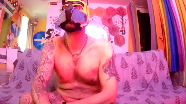 Snapshot of danix_wild_wolf chatting on May 2026 10:54:01 AM danix wild wolf online show from May 2026 10:54:01 AM