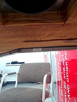 Gotabodiee online show from October 2025 12:07:02 PM