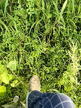 himvilohi08 online show from October 2025 10:03:01 AM