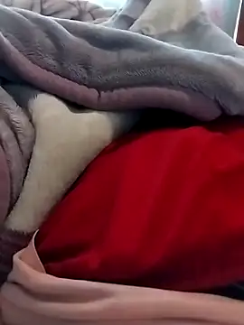 Thakgiey online show from March 2026 11:47:02 AM