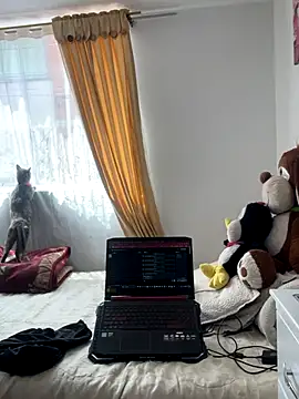 VictoriaGerard Pink online show from November 2025 04:40:02 PM