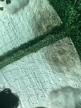 Snapshot of val_zx chatting on March 2026 06:44:01 PM val zx online show from March 2026 06:44:01 PM