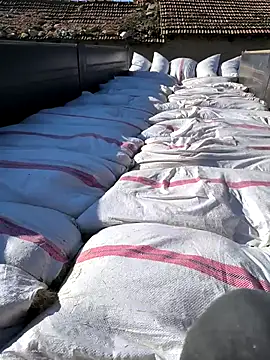 Snapshot of Thunderbolt121 chatting on March 2026 07:09:02 AM Thunderbolt121 online show from March 2026 07:09:02 AM