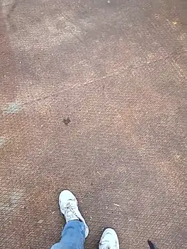 Snapshot of Thunderbolt121 chatting on March 2026 06:32:01 AM Thunderbolt121 online show from March 2026 06:32:01 AM