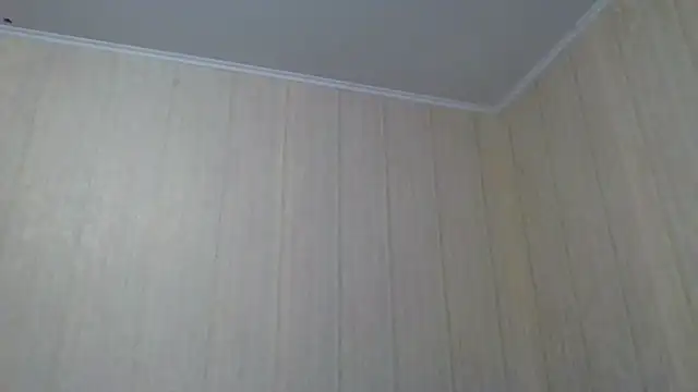 Snapshot of _Black-Panther_ chatting on September 2025 10:31:01 AM  Black-Panther  online show from September 2025 10:31:01 AM