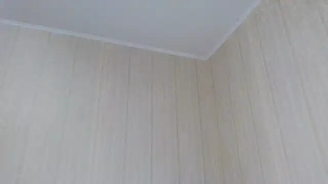 Snapshot of _Black-Panther_ chatting on October 2025 10:55:01 AM  Black-Panther  online show from October 2025 10:55:01 AM