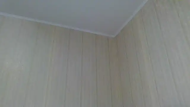 Snapshot of _Black-Panther_ chatting on October 2025 12:03:02 PM  Black-Panther  online show from October 2025 12:03:02 PM