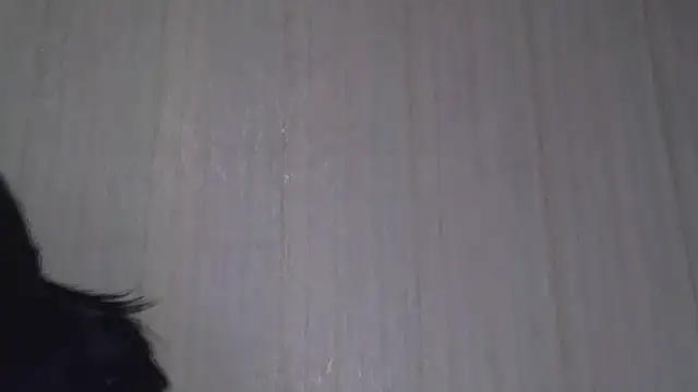 Snapshot of _Black-Panther_ chatting on October 2025 08:26:02 AM  Black-Panther  online show from October 2025 08:26:02 AM