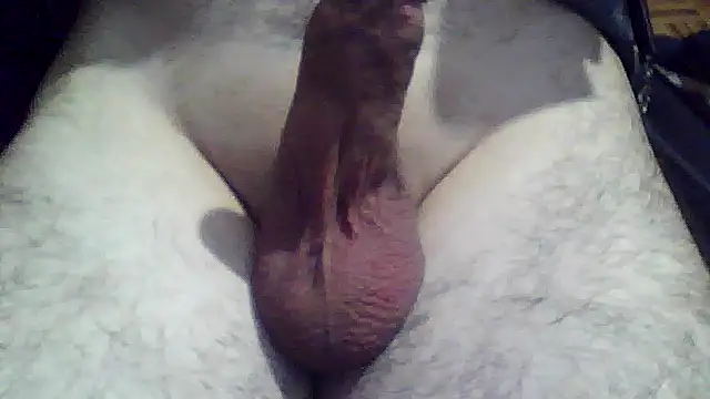 soyorkarxx online show from December 2025 11:44:02 PM