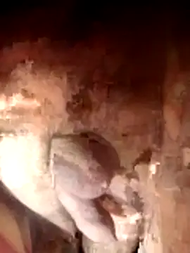 Snapshot of Ayush_pussy_fucker chatting on November 2025 06:08:01 PM Ayush pussy fucker online show from November 2025 06:08:01 PM