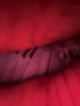 Barbonguapo69 online show from March 2025 12:32:01 AM