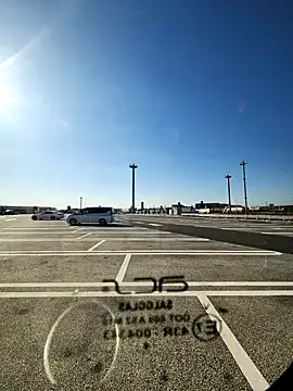 ikeike-kun online show from February 2026 01:04:02 AM