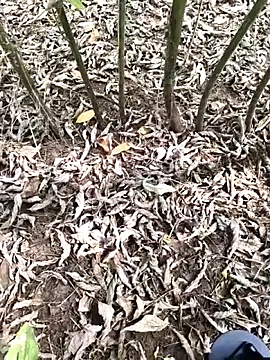 JAZZYS8 online show from October 2025 07:47:02 AM