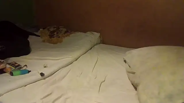 Snapshot of JoaoPinto0 chatting on September 2025 12:54:01 AM JoaoPinto0 online show from September 2025 12:54:01 AM