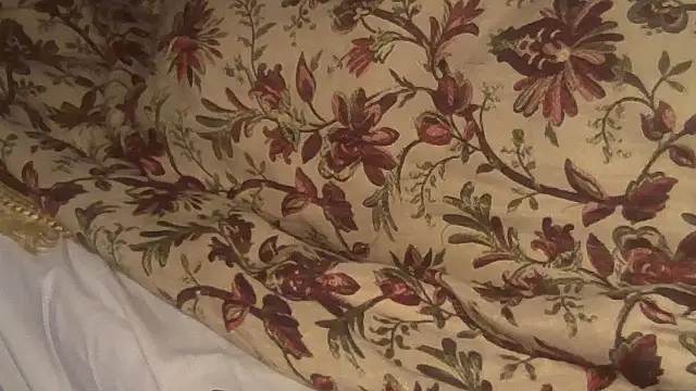 Snapshot of JoaoPinto0 chatting on October 2025 01:58:02 AM JoaoPinto0 online show from October 2025 01:58:02 AM