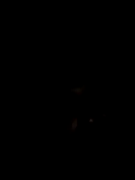 Snapshot of John96999 chatting on March 2025 12:12:01 AM John96999 online show from March 2025 12:12:01 AM