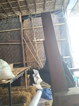 hot integer online show from February 2026 02:56:01 AM