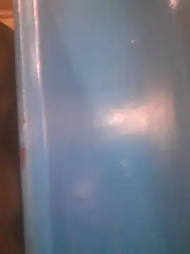 Wildbeastt online show from October 2025 08:25:01 AM