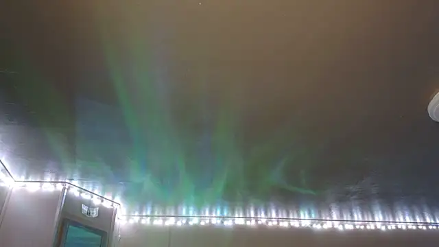 Snapshot of mavismable chatting on February 2026 06:22:01 AM mavismable online show from February 2026 06:22:01 AM