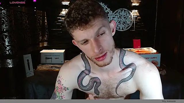 Snapshot of andrewxbi chatting on November 2025 11:48:01 PM andrewxbi online show from November 2025 11:48:01 PM