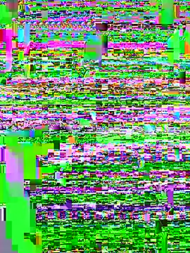 Punjabi Jaati online show from December 2025 02:46:01 PM