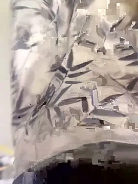 Snapshot of xiaoyuan01 chatting on October 2025 01:37:01 AM xiaoyuan01 online show from October 2025 01:37:01 AM