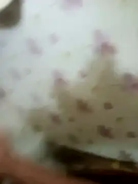 Snapshot of zim200 chatting on April 2026 05:56:01 AM zim200 online show from April 2026 05:56:01 AM