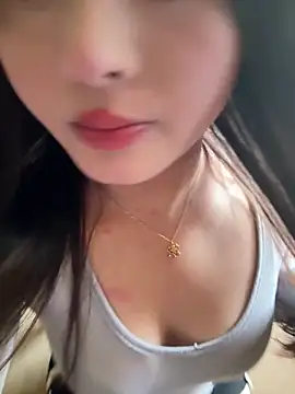 Snapshot of chenyu0308 chatting on October 2025 04:11:01 AM chenyu0308 online show from October 2025 04:11:01 AM