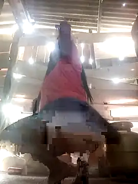 Snapshot of srtsara chatting on April 2026 10:46:01 AM srtsara online show from April 2026 10:46:01 AM