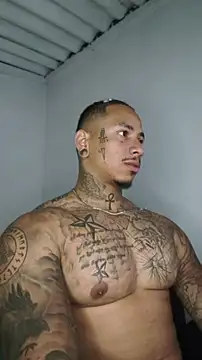 Snapshot of David_tatto1 chatting on June 2026 03:53:02 AM David tatto1 online show from June 2026 03:53:02 AM