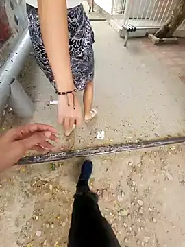 lilobaby online show from October 2025 08:53:02 PM