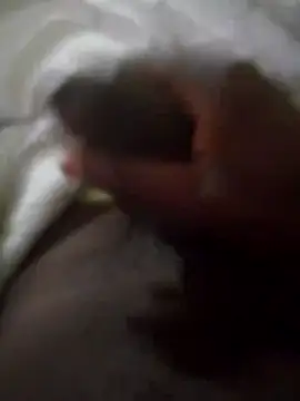 Snapshot of 92donis chatting on September 2025 03:55:02 AM 92donis online show from September 2025 03:55:02 AM