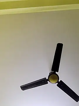 radhika2 online show from December 2025 06:16:01 PM