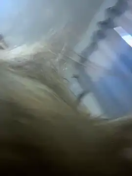 Snapshot of sophiemonroevip chatting on April 2026 12:17:01 PM sophiemonroevip online show from April 2026 12:17:01 PM