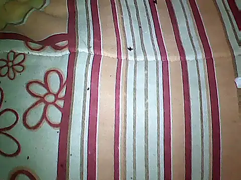 20cmloiro online show from September 2025 03:51:01 AM