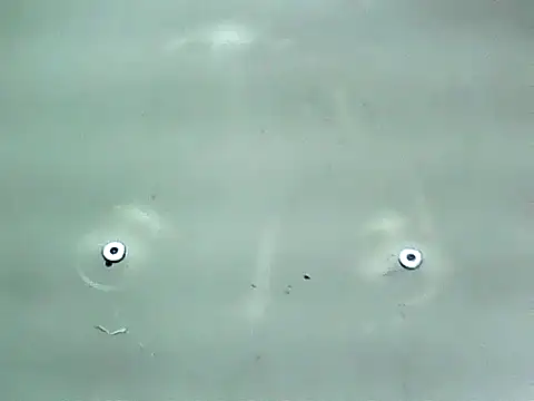 20cmloiro online show from January 2026 12:59:02 AM