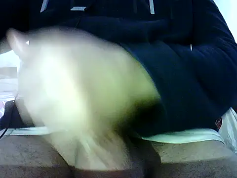 Snapshot of photo3995 chatting on January 2026 09:47:02 AM photo3995 online show from January 2026 09:47:02 AM