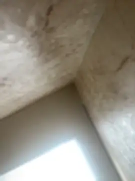 Snapshot of Noa_Todokoro chatting on October 2025 03:02:01 PM Noa Todokoro online show from October 2025 03:02:01 PM