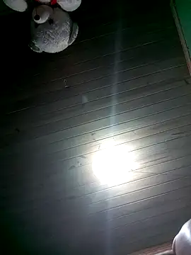 Snapshot of Ridick2025 chatting on April 2026 12:52:02 AM Ridick2025 online show from April 2026 12:52:02 AM