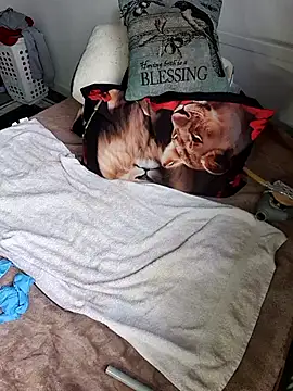 Snapshot of Wilsonn86 chatting on February 2026 08:29:02 AM Wilsonn86 online show from February 2026 08:29:02 AM