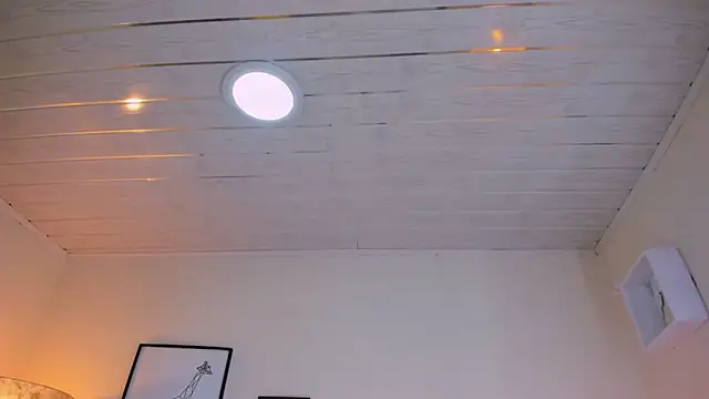 Snapshot of LusyKitty chatting on December 2025 03:40:02 PM LusyKitty online show from December 2025 03:40:02 PM