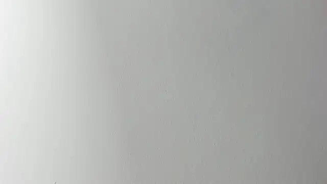 Lady miss    online show from November 2025 12:17:01 PM