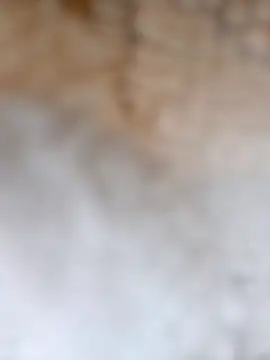 Radsjxh online show from December 2025 07:42:02 PM