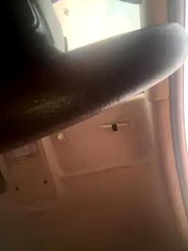 Snapshot of silverbay-456 chatting on November 2025 01:05:02 AM silverbay-456 online show from November 2025 01:05:02 AM