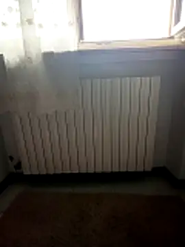 Snapshot of alicepavia22 chatting on April 2026 09:14:02 AM alicepavia22 online show from April 2026 09:14:02 AM