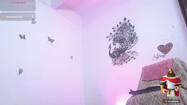 panamared online show from October 2025 05:11:02 PM