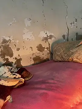 ParousFlow online show from February 2026 02:16:02 PM