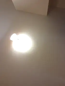 Snapshot of Tannedtattooed69 chatting on March 2026 07:16:01 AM Tannedtattooed69 online show from March 2026 07:16:01 AM