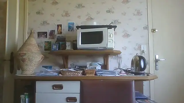gegevincent online show from June 2026 10:28:02 AM